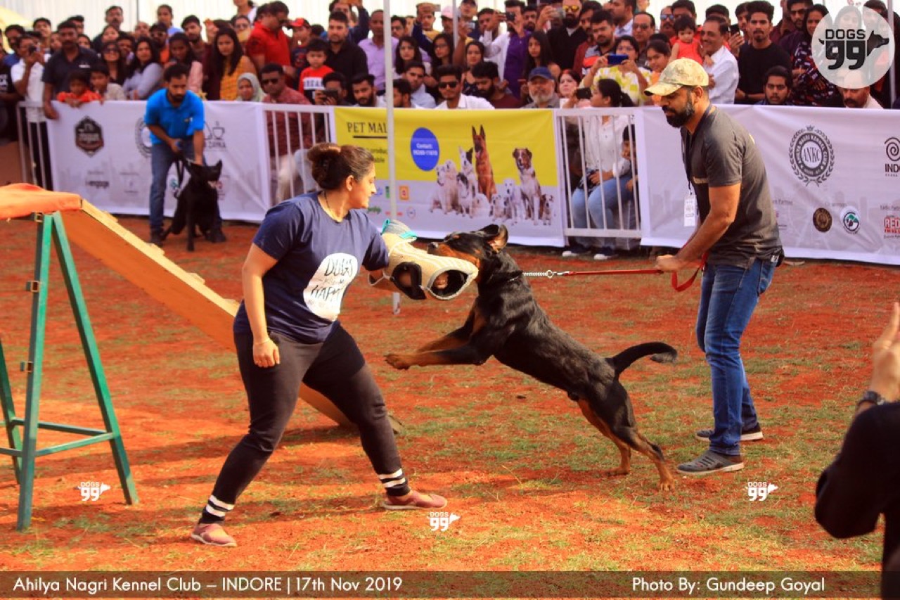 Furventures - Pet Adventures & Events - Photo 24